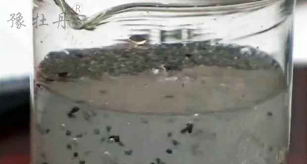 买优质的活性炭应该看哪些指标? 买优质的活性炭应该看哪些指标?